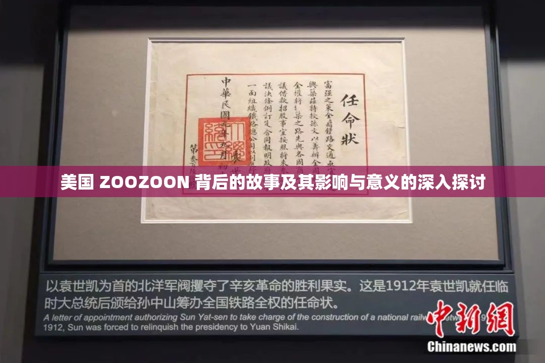 美国 ZOOZOON 背后的故事及其影响与意义的深入探讨