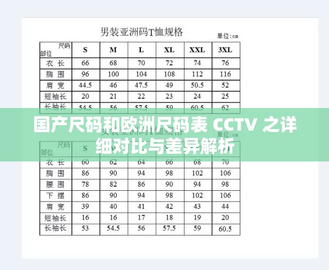 国产尺码和欧洲尺码表 CCTV 之详细对比与差异解析