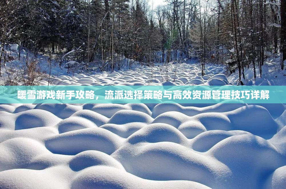 暖雪游戏新手攻略，流派选择策略与高效资源管理技巧详解