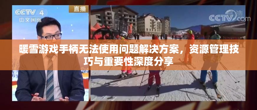 暖雪游戏手柄无法使用问题解决方案，资源管理技巧与重要性深度分享