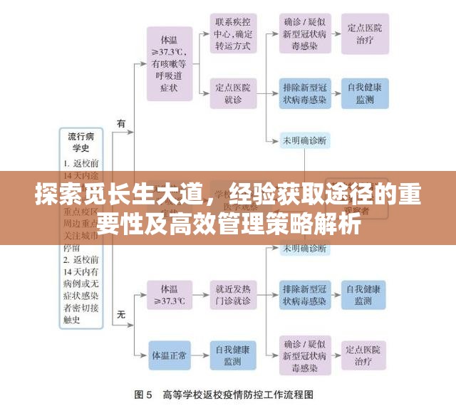 探索觅长生大道，经验获取途径的重要性及高效管理策略解析