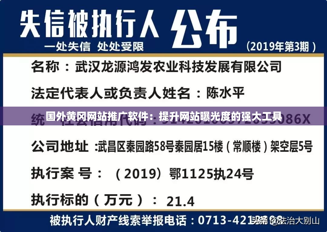 国外黄冈网站推广软件：提升网站曝光度的强大工具