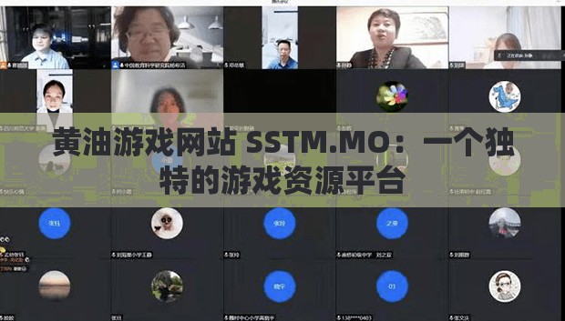 黄油游戏网站 SSTM.MO：一个独特的游戏资源平台