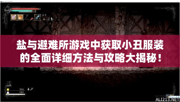 盐与避难所游戏中获取小丑服装的全面详细方法与攻略大揭秘！