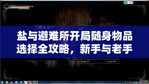 盐与避难所开局随身物品选择全攻略，新手与老手的不同推荐