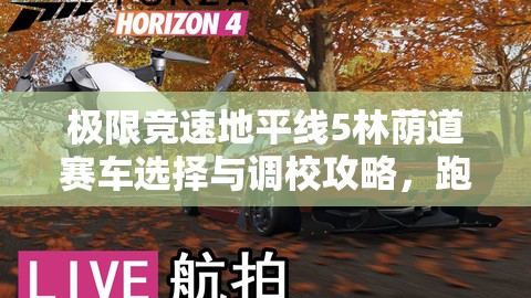 极限竞速地平线5林荫道赛车选择与调校攻略，跑车优选、资源管理技巧及价值最大化