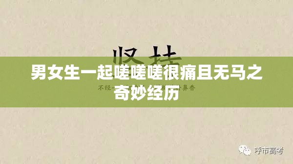 男女生一起嗟嗟嗟很痛且无马之奇妙经历