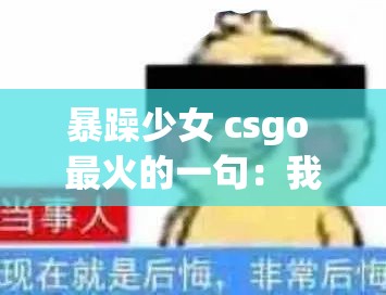 暴躁少女 csgo 最火的一句：我已经非常暴躁了，你千万别碰我电源