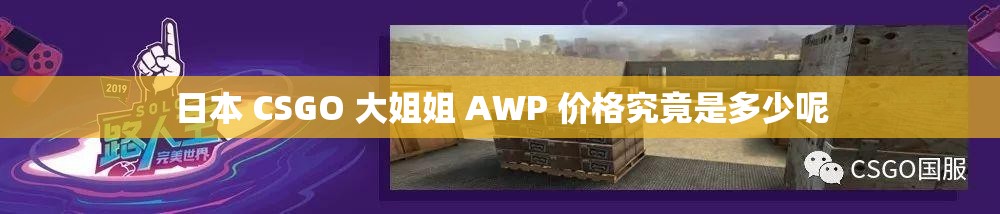 日本 CSGO 大姐姐 AWP 价格究竟是多少呢