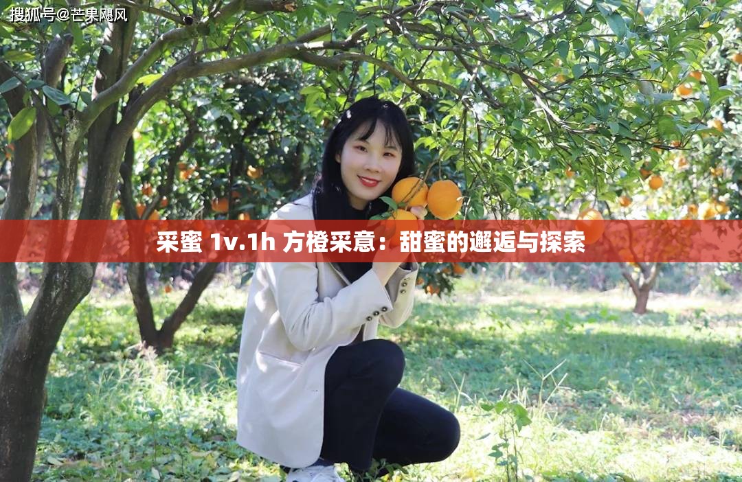 采蜜 1v.1h 方橙采意：甜蜜的邂逅与探索