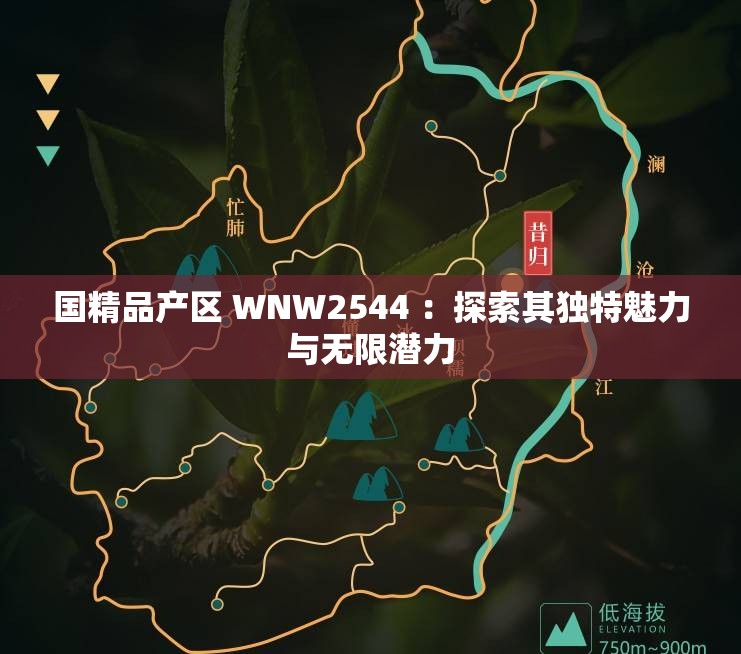 国精品产区 WNW2544 ：探索其独特魅力与无限潜力