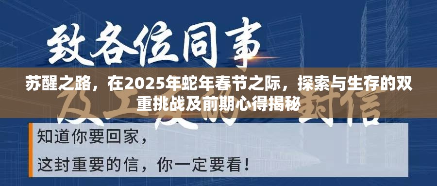 苏醒之路，在2025年蛇年春节之际，探索与生存的双重挑战及前期心得揭秘