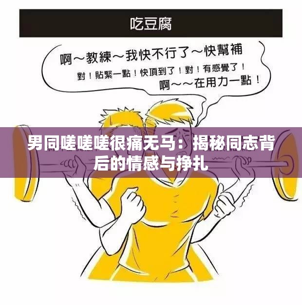 男同嗟嗟嗟很痛无马：揭秘同志背后的情感与挣扎