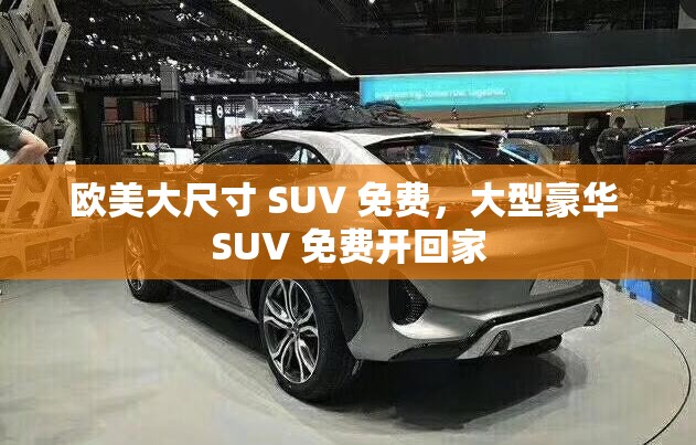 欧美大尺寸 SUV 免费，大型豪华 SUV 免费开回家