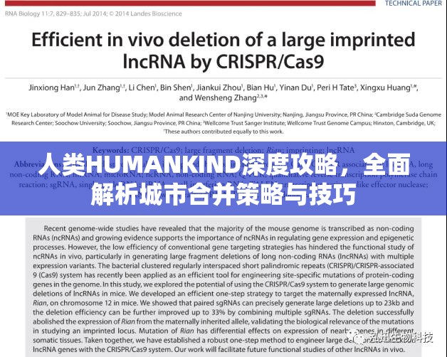 人类HUMANKIND深度攻略，全面解析城市合并策略与技巧