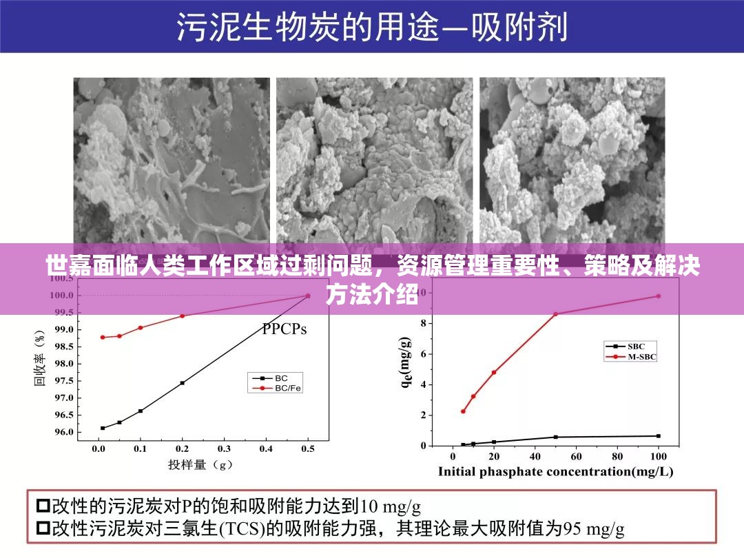 世嘉面临人类工作区域过剩问题，资源管理重要性、策略及解决方法介绍