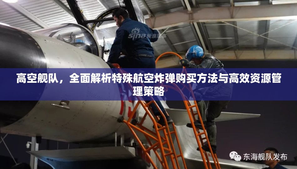 高空舰队，全面解析特殊航空炸弹购买方法与高效资源管理策略