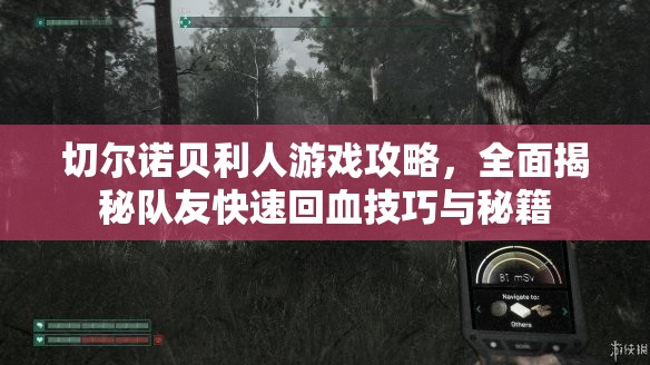 切尔诺贝利人游戏攻略，全面揭秘队友快速回血技巧与秘籍