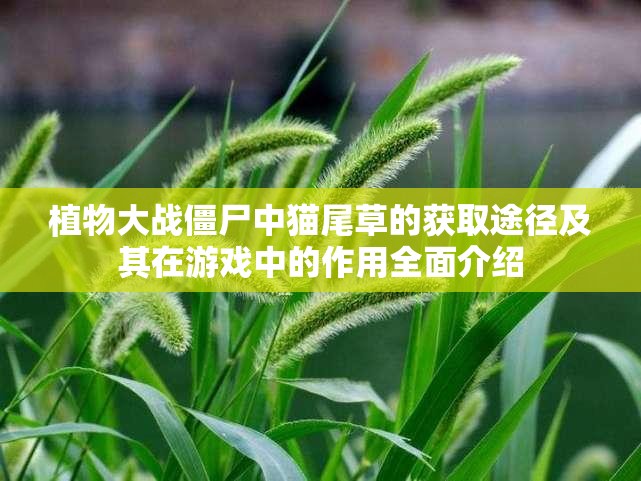 植物大战僵尸中猫尾草的获取途径及其在游戏中的作用全面介绍