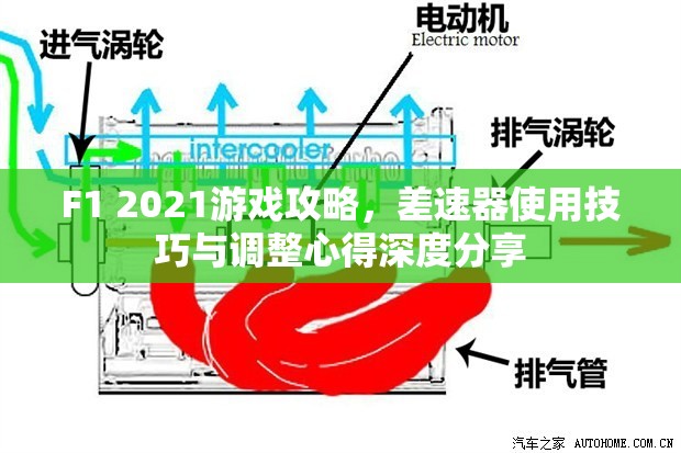 F1 2021游戏攻略，差速器使用技巧与调整心得深度分享