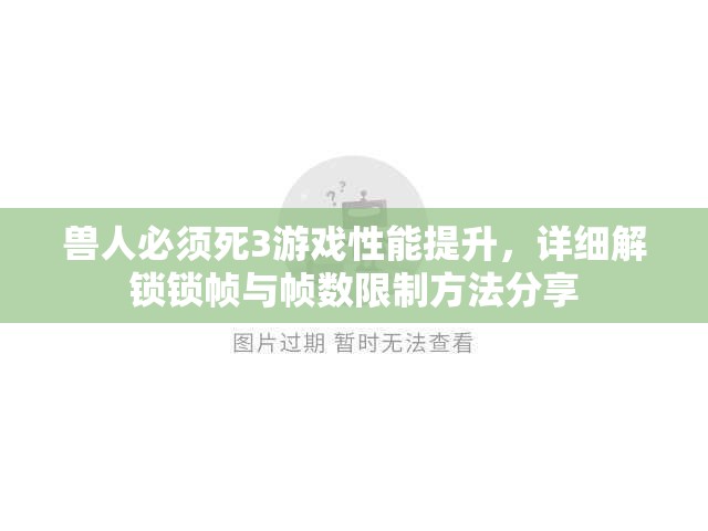 兽人必须死3游戏性能提升，详细解锁锁帧与帧数限制方法分享