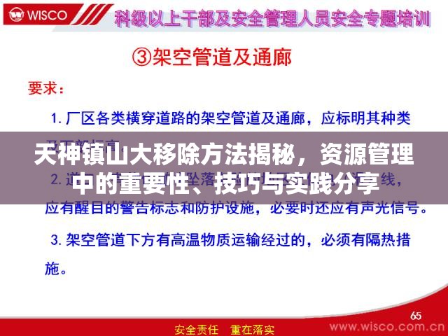 天神镇山大移除方法揭秘，资源管理中的重要性、技巧与实践分享