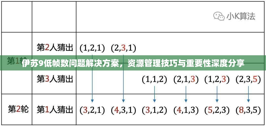 伊苏9低帧数问题解决方案，资源管理技巧与重要性深度分享