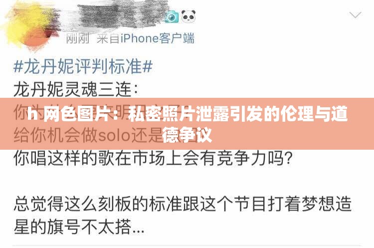 h 网色图片：私密照片泄露引发的伦理与道德争议