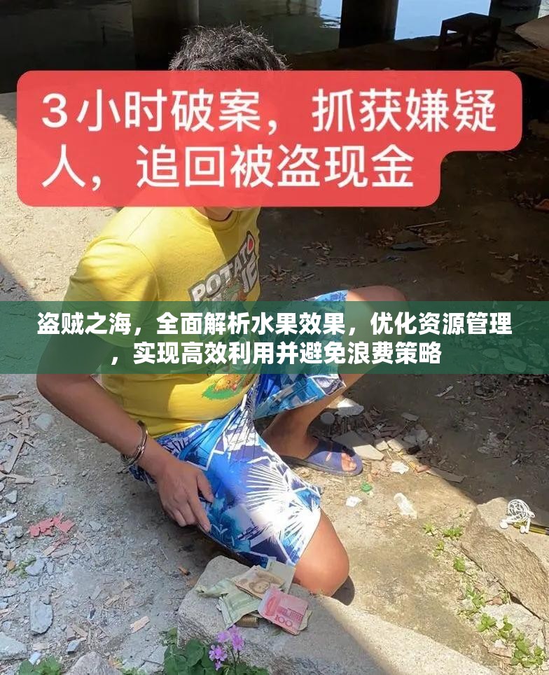 盗贼之海，全面解析水果效果，优化资源管理，实现高效利用并避免浪费策略