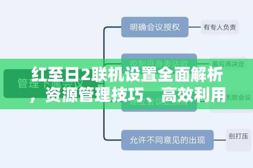 红至日2联机设置全面解析，资源管理技巧、高效利用策略及避免浪费指南