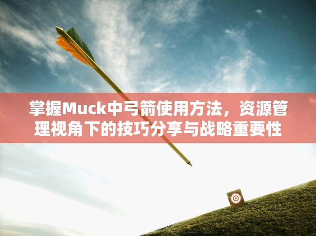 掌握Muck中弓箭使用方法，资源管理视角下的技巧分享与战略重要性