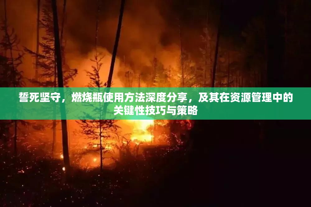 誓死坚守，燃烧瓶使用方法深度分享，及其在资源管理中的关键性技巧与策略