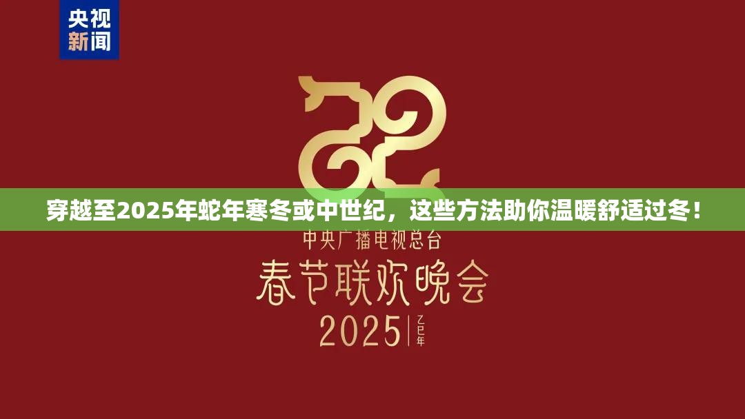 穿越至2025年蛇年寒冬或中世纪，这些方法助你温暖舒适过冬！