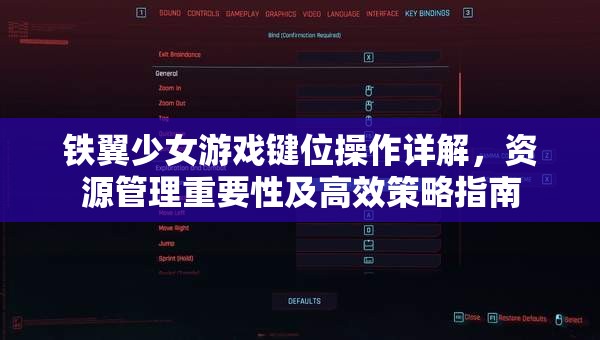 铁翼少女游戏键位操作详解，资源管理重要性及高效策略指南