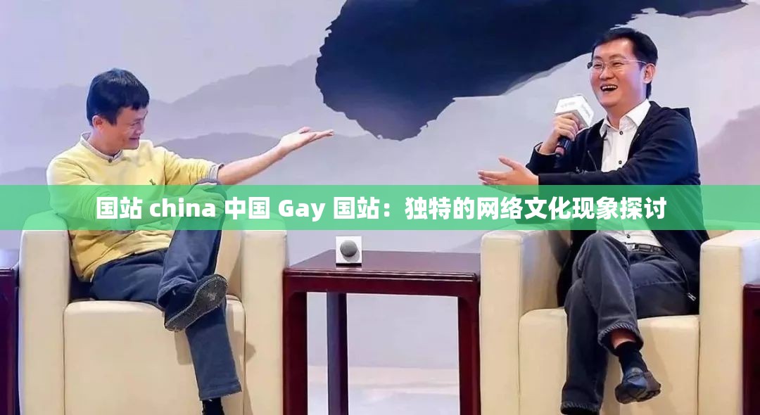 国站 china 中国 Gay 国站：独特的网络文化现象探讨