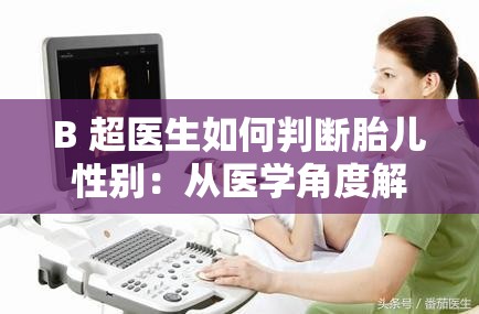 B 超医生如何判断胎儿性别：从医学角度解析