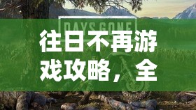 往日不再游戏攻略，全面解析汽车警报器秘籍搜寻与高效获得技巧