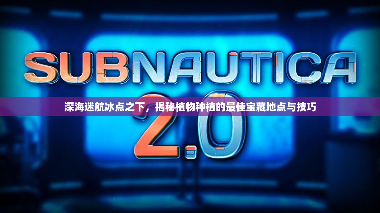 深海迷航冰点之下，揭秘植物种植的最佳宝藏地点与技巧