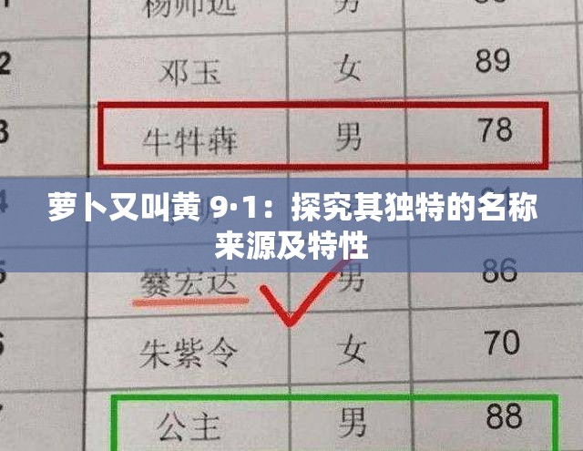 萝卜又叫黄 9·1：探究其独特的名称来源及特性