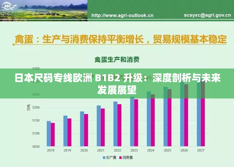 日本尺码专线欧洲 B1B2 升级：深度剖析与未来发展展望