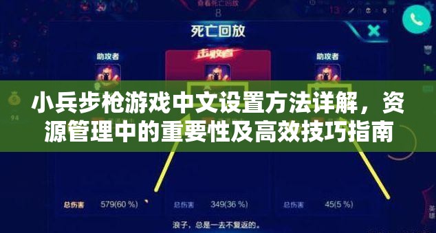 小兵步枪游戏中文设置方法详解，资源管理中的重要性及高效技巧指南