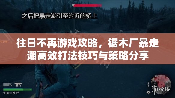 往日不再游戏攻略，锯木厂暴走潮高效打法技巧与策略分享