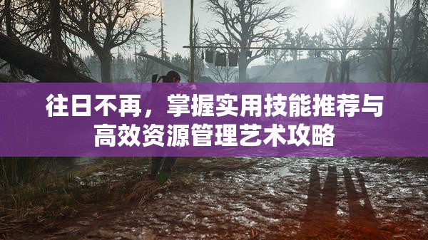 往日不再，掌握实用技能推荐与高效资源管理艺术攻略