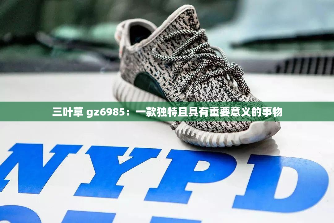 三叶草 gz6985：一款独特且具有重要意义的事物