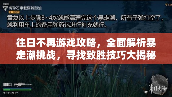 往日不再游戏攻略，全面解析暴走潮挑战，寻找致胜技巧大揭秘