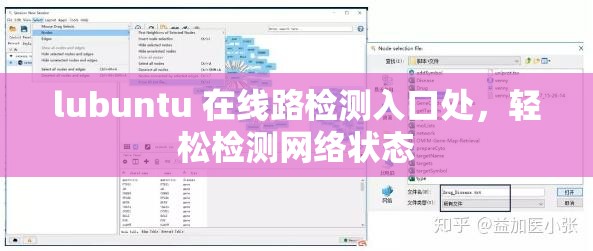 lubuntu 在线路检测入口处，轻松检测网络状态