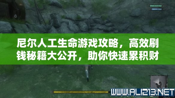 尼尔人工生命游戏攻略，高效刷钱秘籍大公开，助你快速累积财富致富无忧