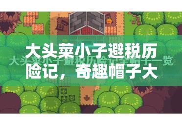 大头菜小子避税历险记，奇趣帽子大赏，解锁创意避税新风尚与策略