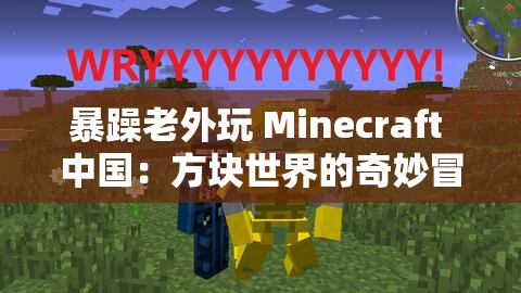 暴躁老外玩 Minecraft 中国：方块世界的奇妙冒险