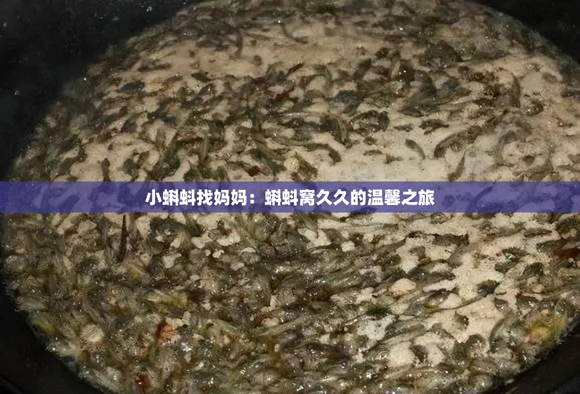 小蝌蚪找妈妈：蝌蚪窝久久的温馨之旅